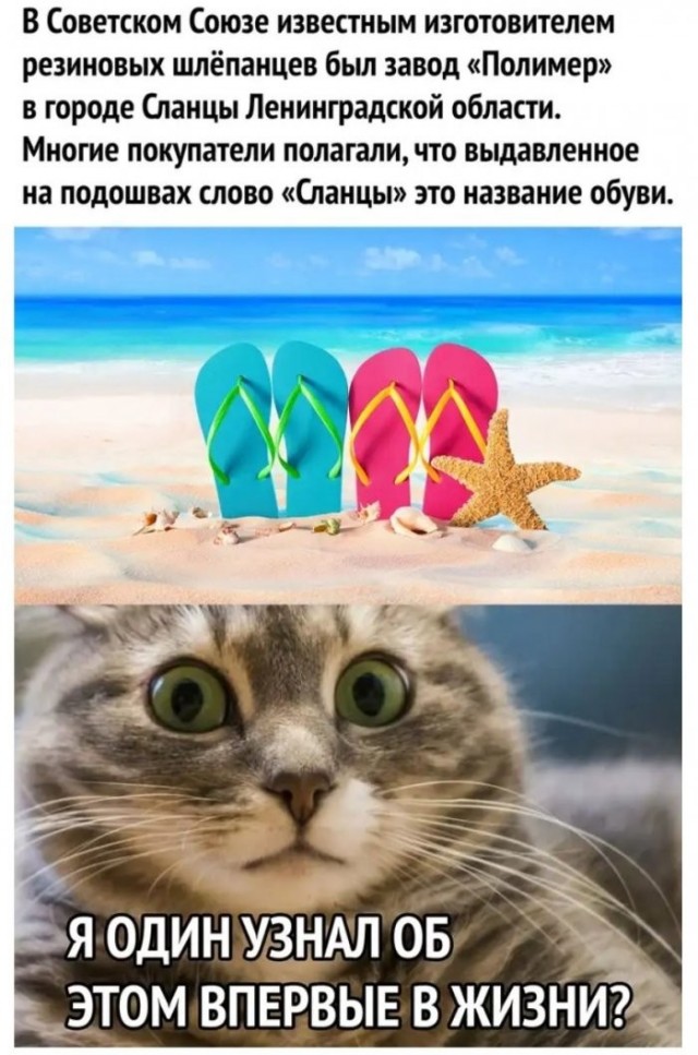 картинка bdb648720c 21269587