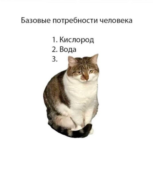 картинка be7cb2992e 21289895