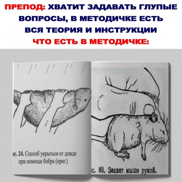 картинка c09ecccab6 21291054