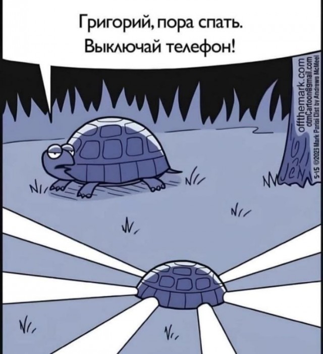 картинка c56676ad35 21275846