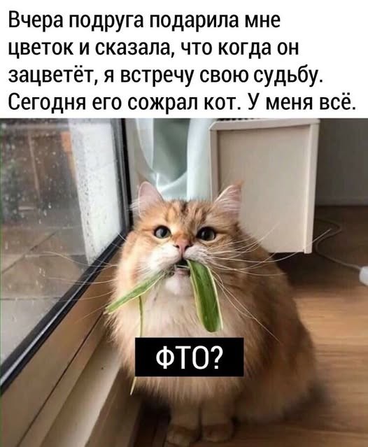 картинка c67b7c9122 21287416