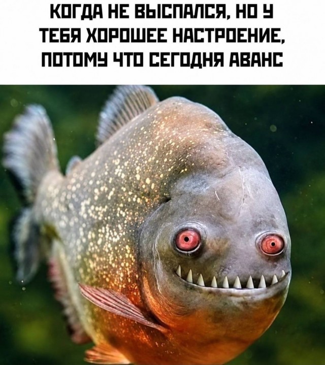 картинка c6afc3783c 21270150