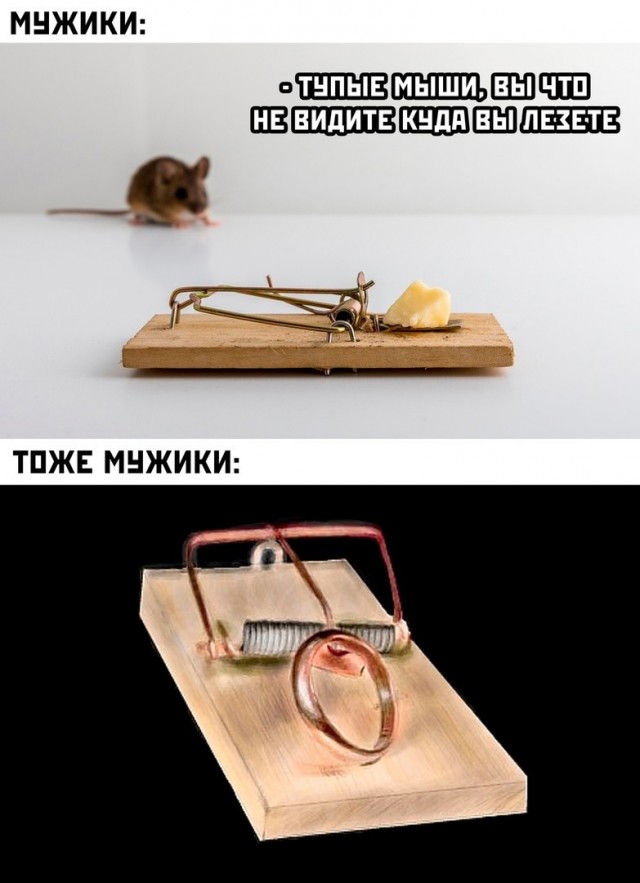 картинка c794e0950f 21287612