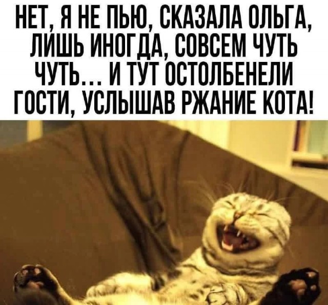 картинка c8752a7070 21290255
