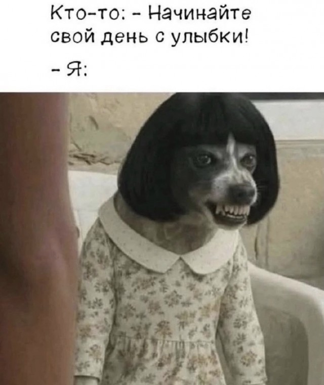 картинка c9d88f4063 21290329