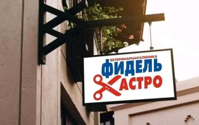 картинка c9ec7bda02 21305816