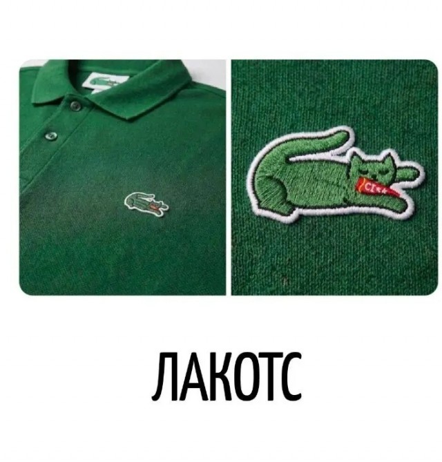 картинка cd08518b2e 21290333