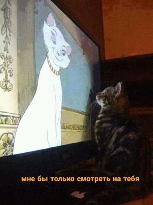картинка ce5ee25280 21345903