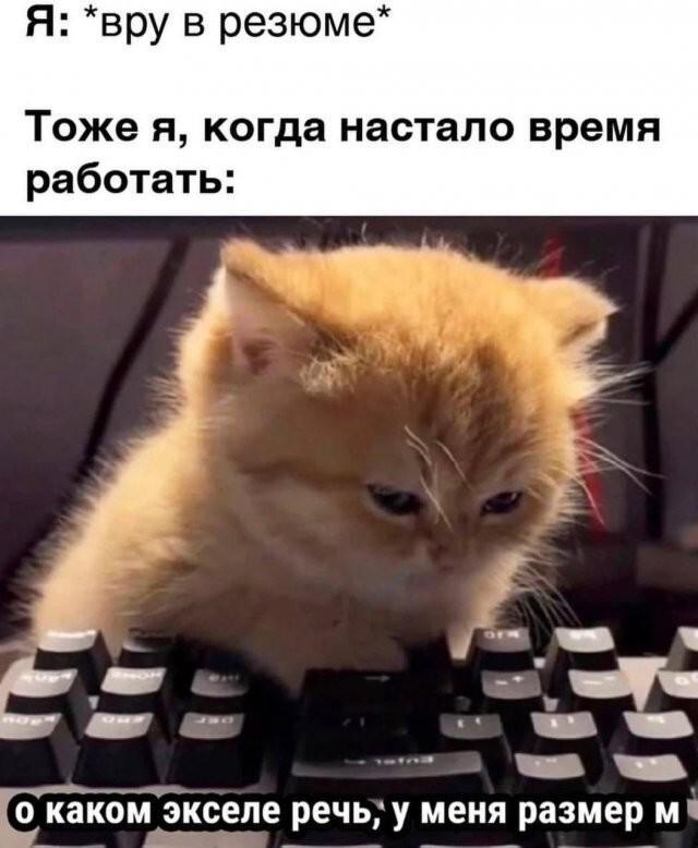 картинка d0158c508a 000