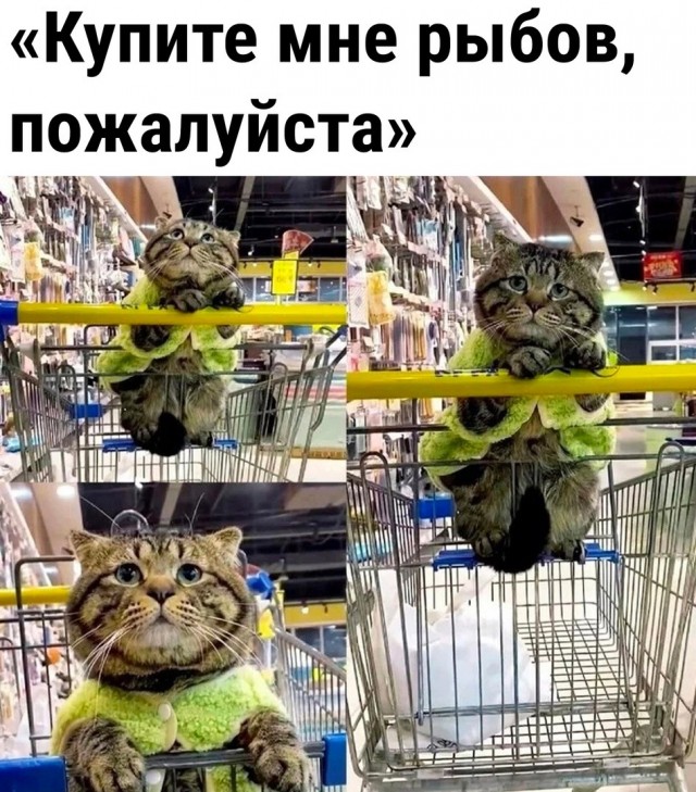картинка d0af57beeb 21302686