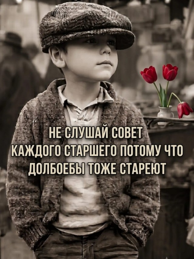 картинка d0cee7a4fd 21321162