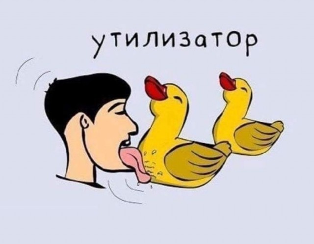 картинка d4e03db59a 21306065