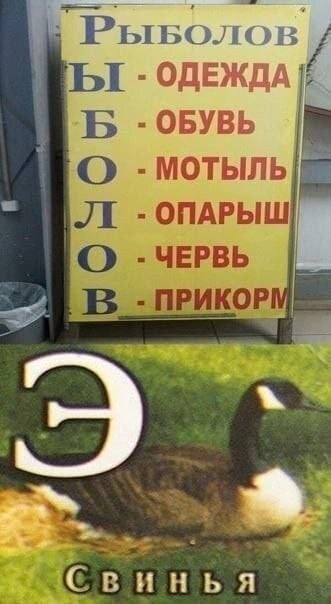 картинка d59ac2fdaf 21328286