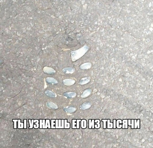 картинка d6279ec385 21345905