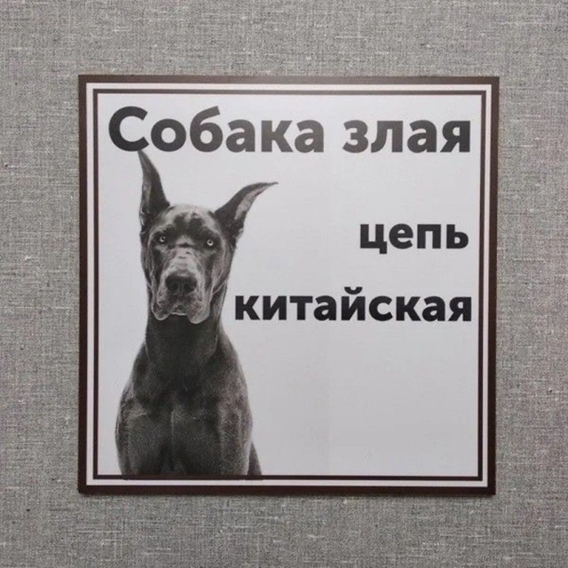картинка d749ea8ad5 21315907