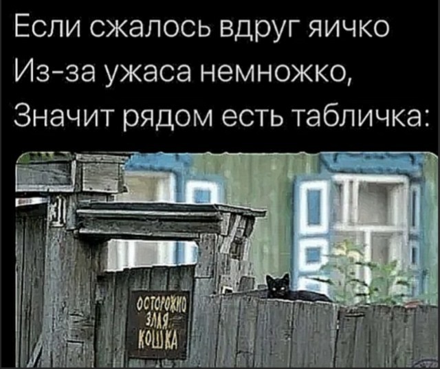 картинка d9a1f0f421 21320110