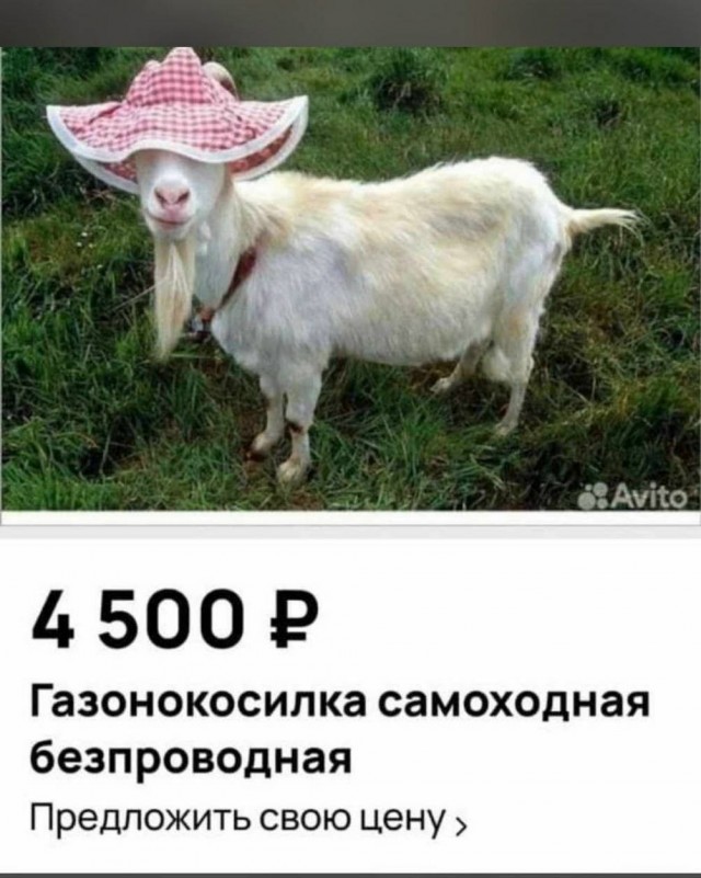 картинка d9d8e11ed4 21320420