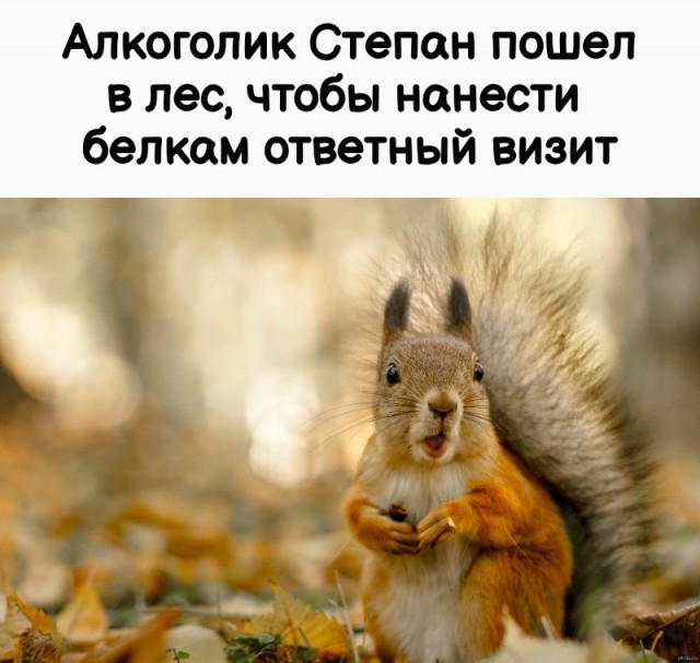 картинка dc2a79cfc4 21286201