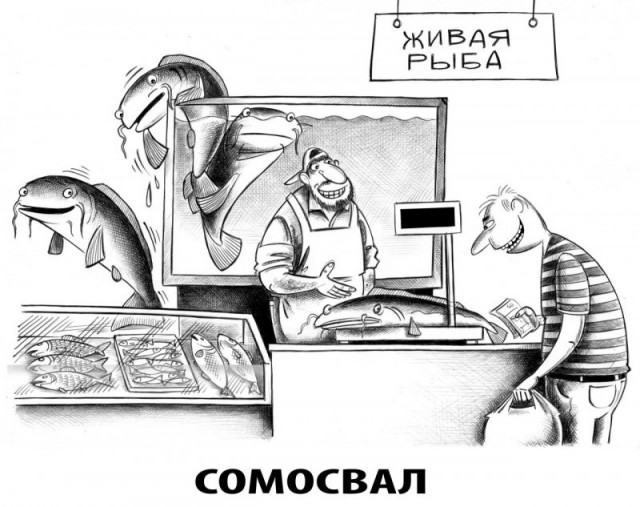 картинка de5ad23b6f 21302752