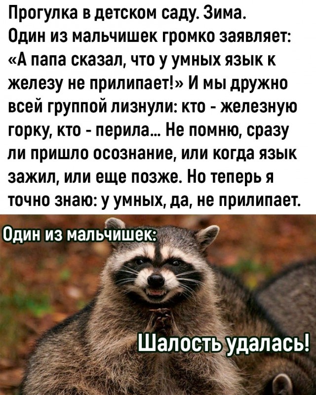 картинка e041d8f1fa 21315871