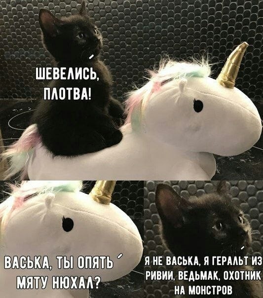 картинка e16611ea22 21362741