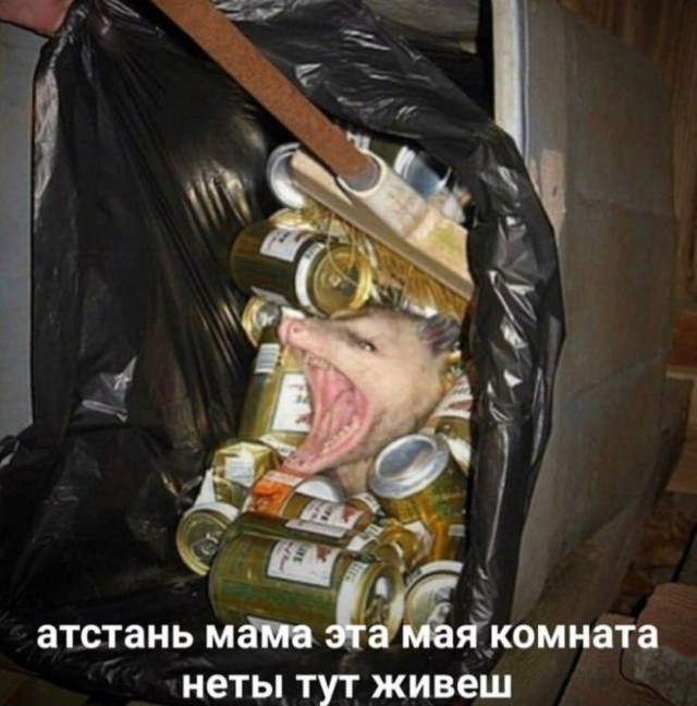 картинка e33e1d7bcf 21306103