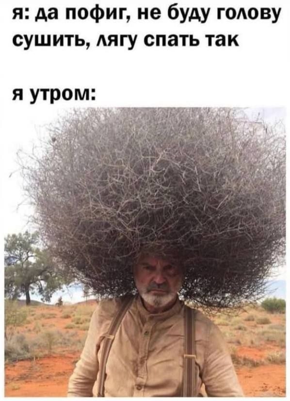 картинка e3849cf8de 21328306