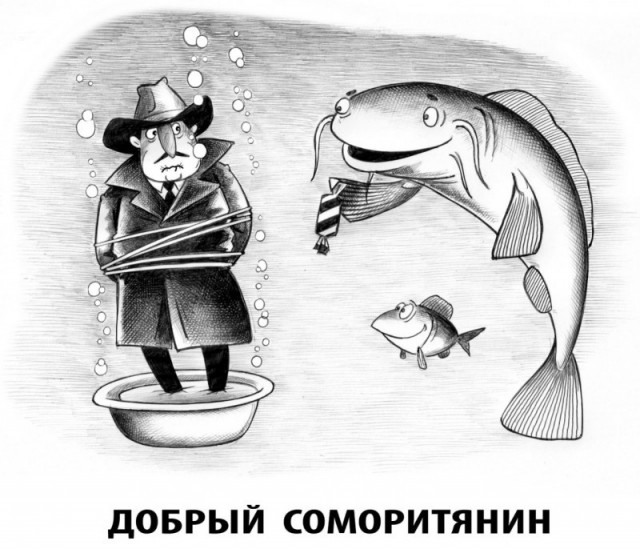 картинка e3c3976d52 21302753