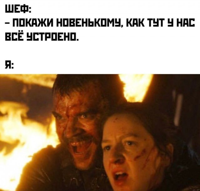 картинка e5e06e9ffe 21291299