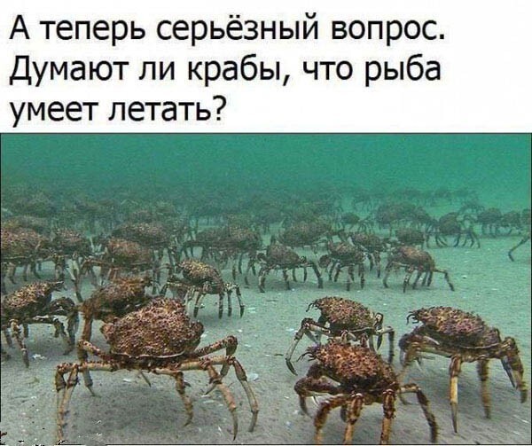 картинка e647b27d6f memy i kommentarii kotorye ponimajut vashu bol i lechat ee 5