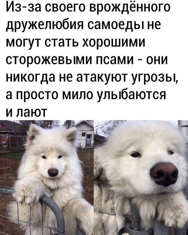 картинка e91fe802cb 1791299893