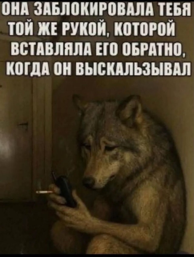 картинка e939949e0f 21300635