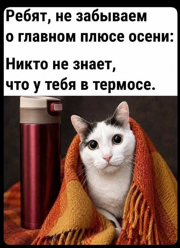 Мемы, которые спасают день станет, хочется, любимые, веселее, маленькая, пятница, совсем, близкоЛистайте, подборку, выбирайте, самые, удачные, кадры, сохраняйте, пересылайте, обязательно, чуточку, самому, другу, понятно