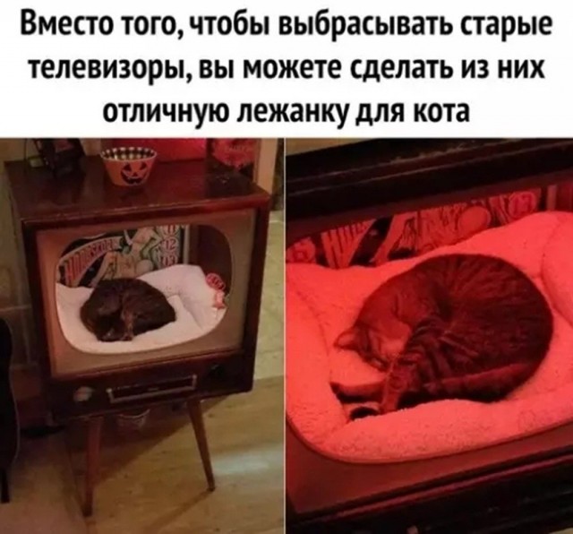 картинка ed567bcd81 21315929