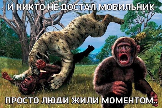 картинка ed80f6df7e sbornik memov i kommentariev iz socialnyh setej dlja podnjatija nastroenija 9