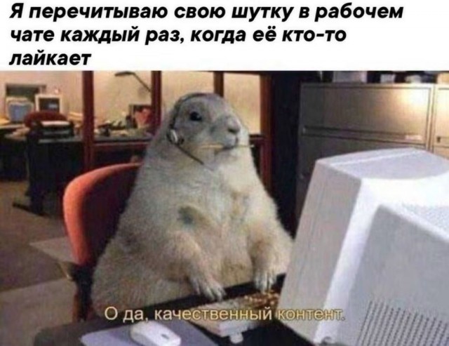 картинка ef2f246b0a 21269692