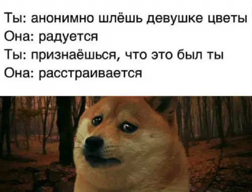 картинка ef6d610b4b 21257384