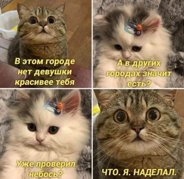 У нас для вас кое-что особенное! ✨ Новый сборник мемов, который точно поднимет настроение! У нас для вас кое-что особенное! ✨ Новый сборник мемов, который точно поднимет настроение! шутки, чтобы, офису, коллеге, кружку, после, третьей, вообще, захочется, обнять, соседа, откопали, простить, поудобнее, расслабьте, сейчас, слишком, серьёзное, ловите, заряд