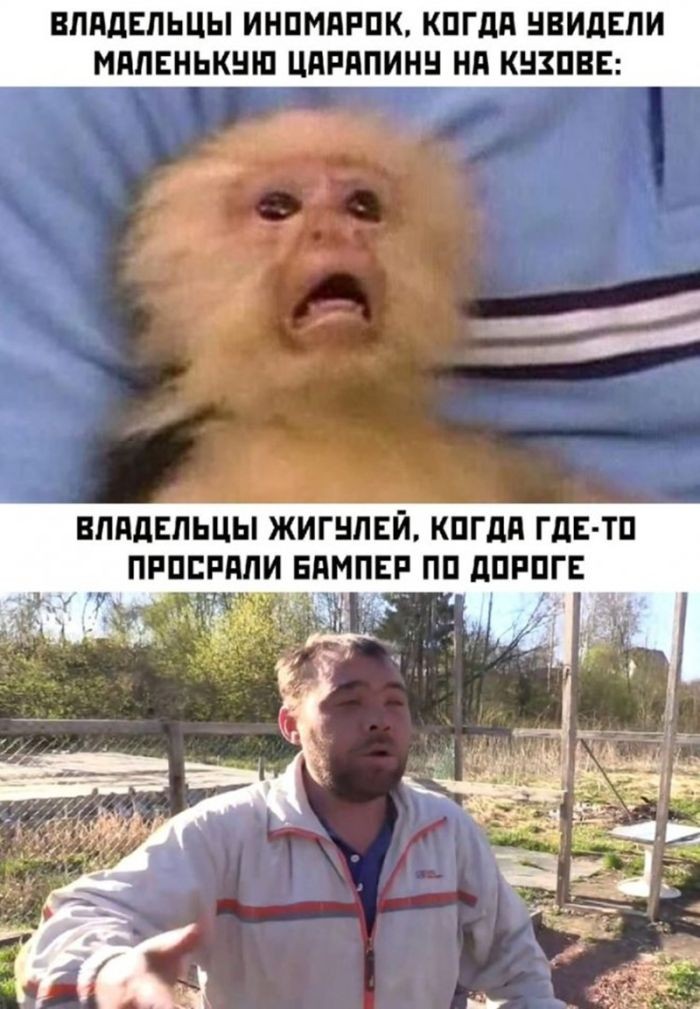 картинка f15098259f bolshoj sbornik chernogo jumora v memah i kartinkah 20