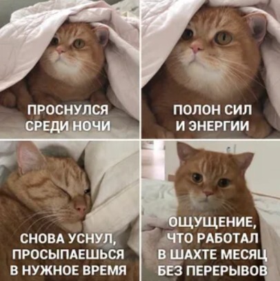 картинка f1b29756cb pereryv na porciju memov i luchshih kommentov iz seti 0
