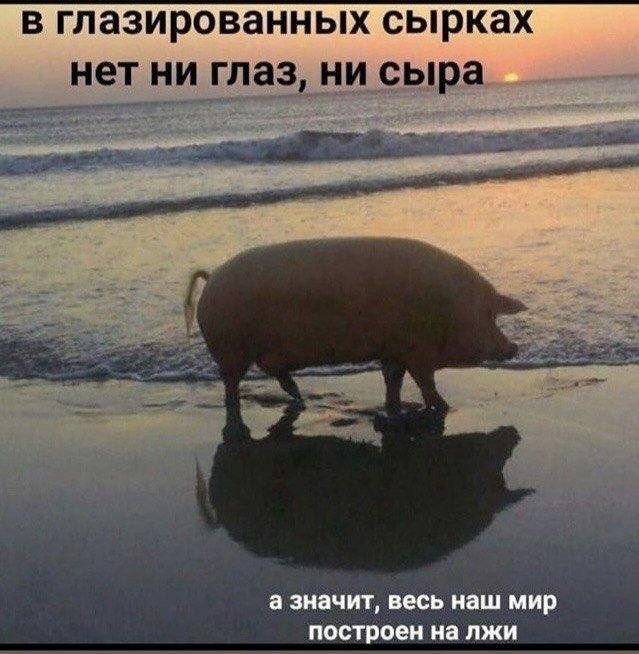 картинка fb4ffc4c91 21362750