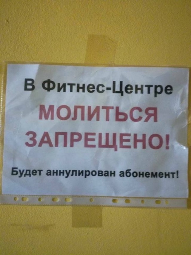 картинка fba22aca50 21321045