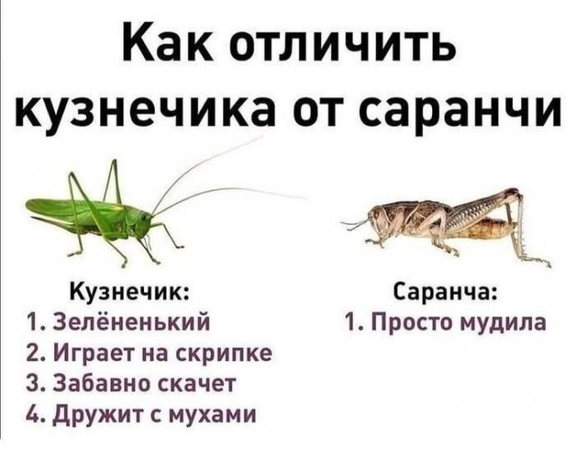 картинка fc4b05caa7 21256734