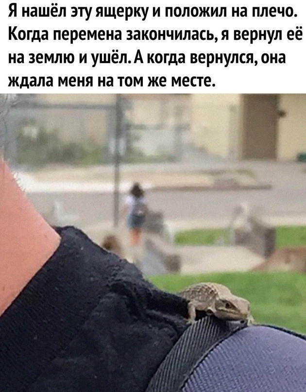 картинка ff0c13baa7 sbornik memov i kommentariev iz socialnyh setej dlja podnjatija nastroenija 8