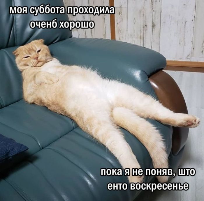 картинка 04a1fb2c54 chernee chem vasha sovest 6