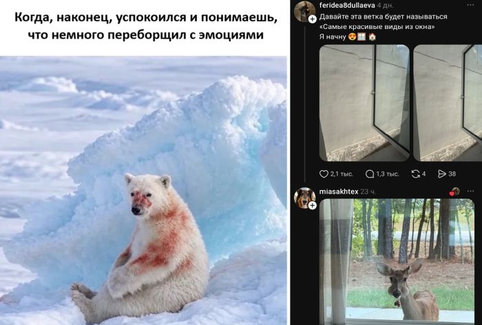 Устали от серой погоды и бесконечных дел? Ловите порцию свежего юмора!