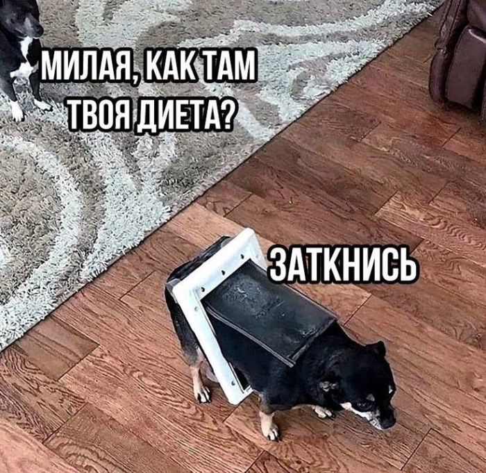 Понедельник: начало новой главы или просто «опять двадцать пять»? 😄