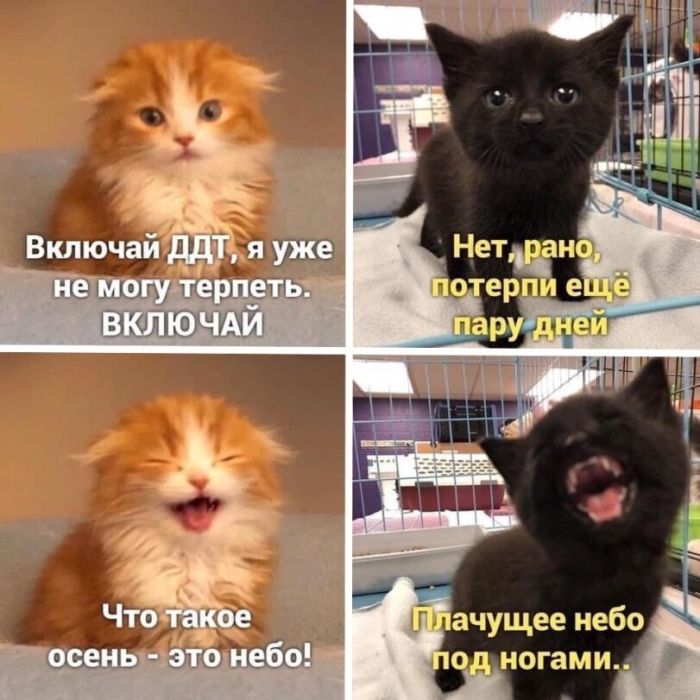картинка 0beb789f38 1792076572