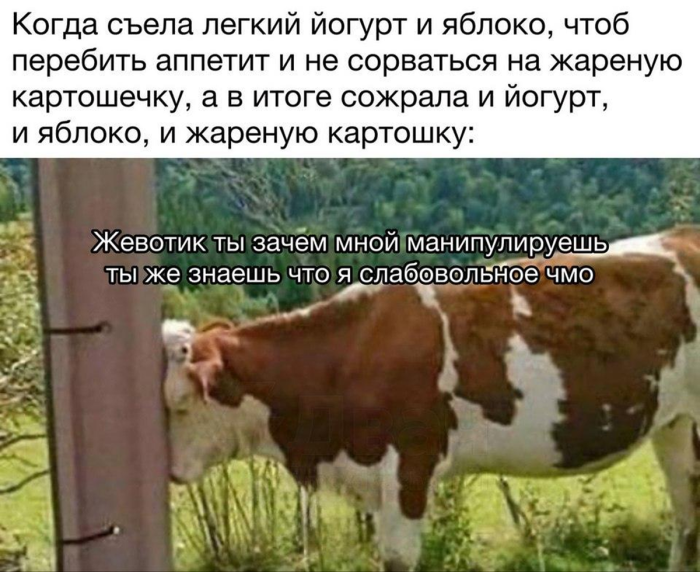 Воскресенье — время для лени и хорошего настроения! ☕️✨