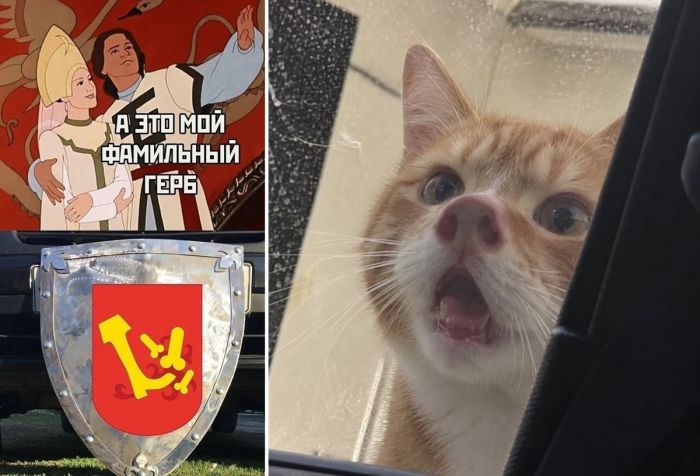 Пятничная доза позитива 🚀
